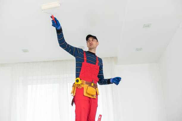 Best Drywall Removal and Disposal  in Camp Springs, MD